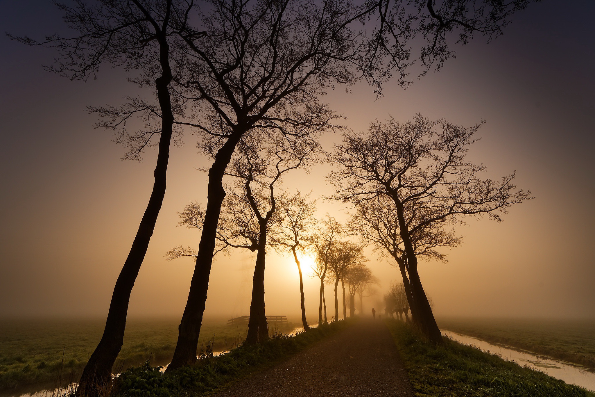 Обои дорога, природа, закат, road, nature, sunset разрешение 2048x1365 Загрузить