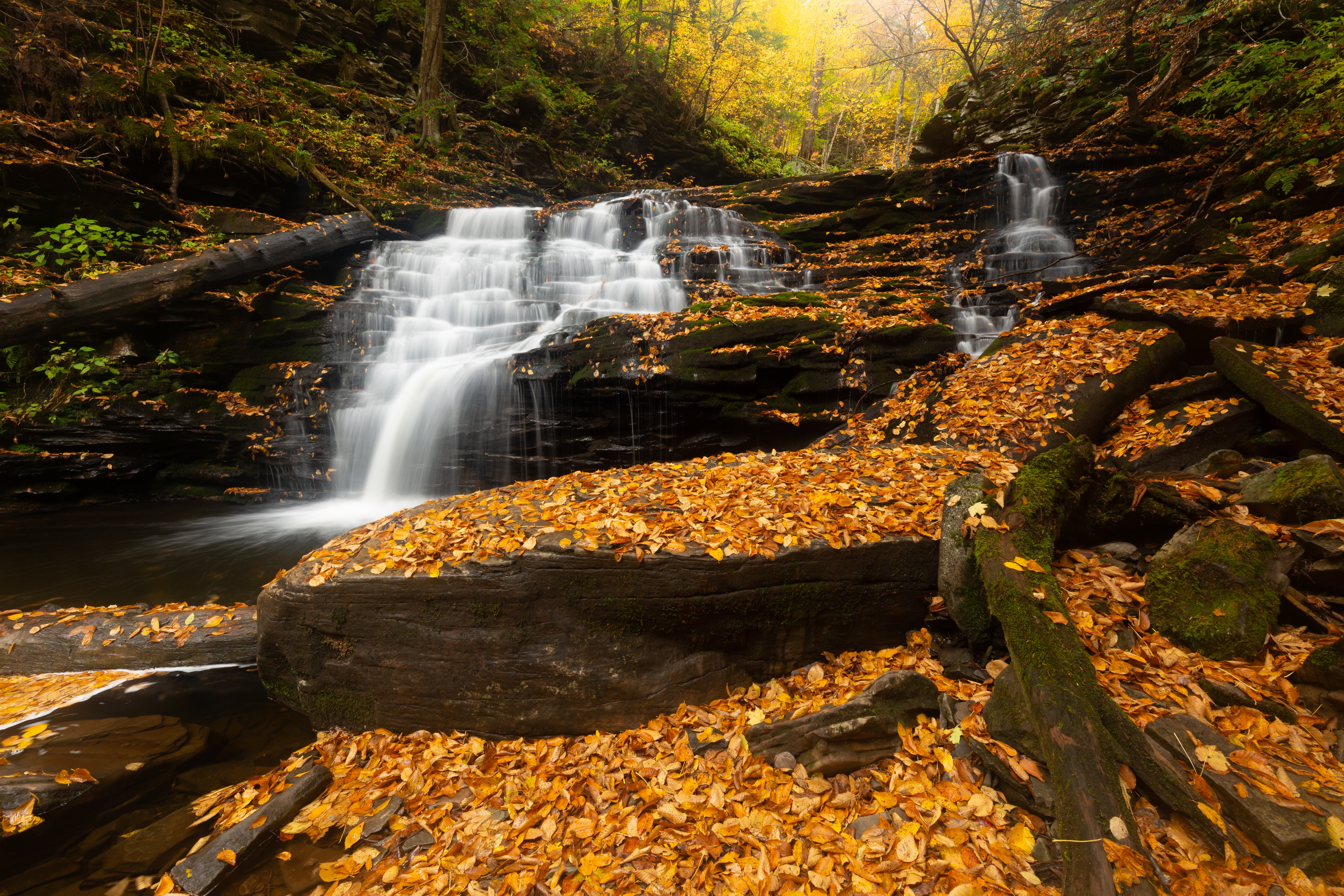 Обои листва, водопад, поток, листопад, foliage, waterfall, stream, falling leaves разрешение 5760x3840 Загрузить