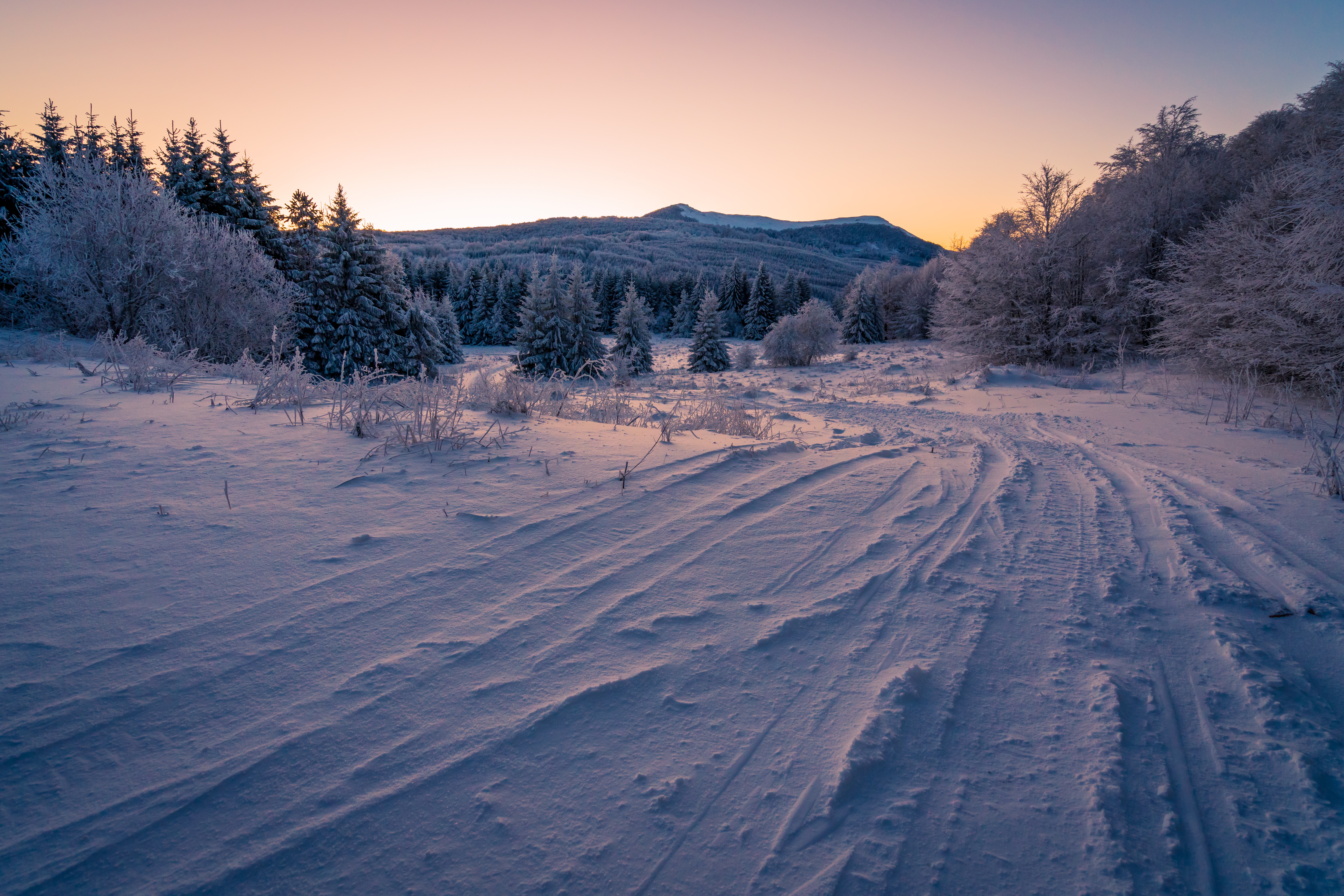 Обои небо, ели, дорога, вечер, горы, снег, лес, зима, ветки, the sky, ate, road, the evening, mountains, snow, forest, winter, branches разрешение 7480x4989 Загрузить