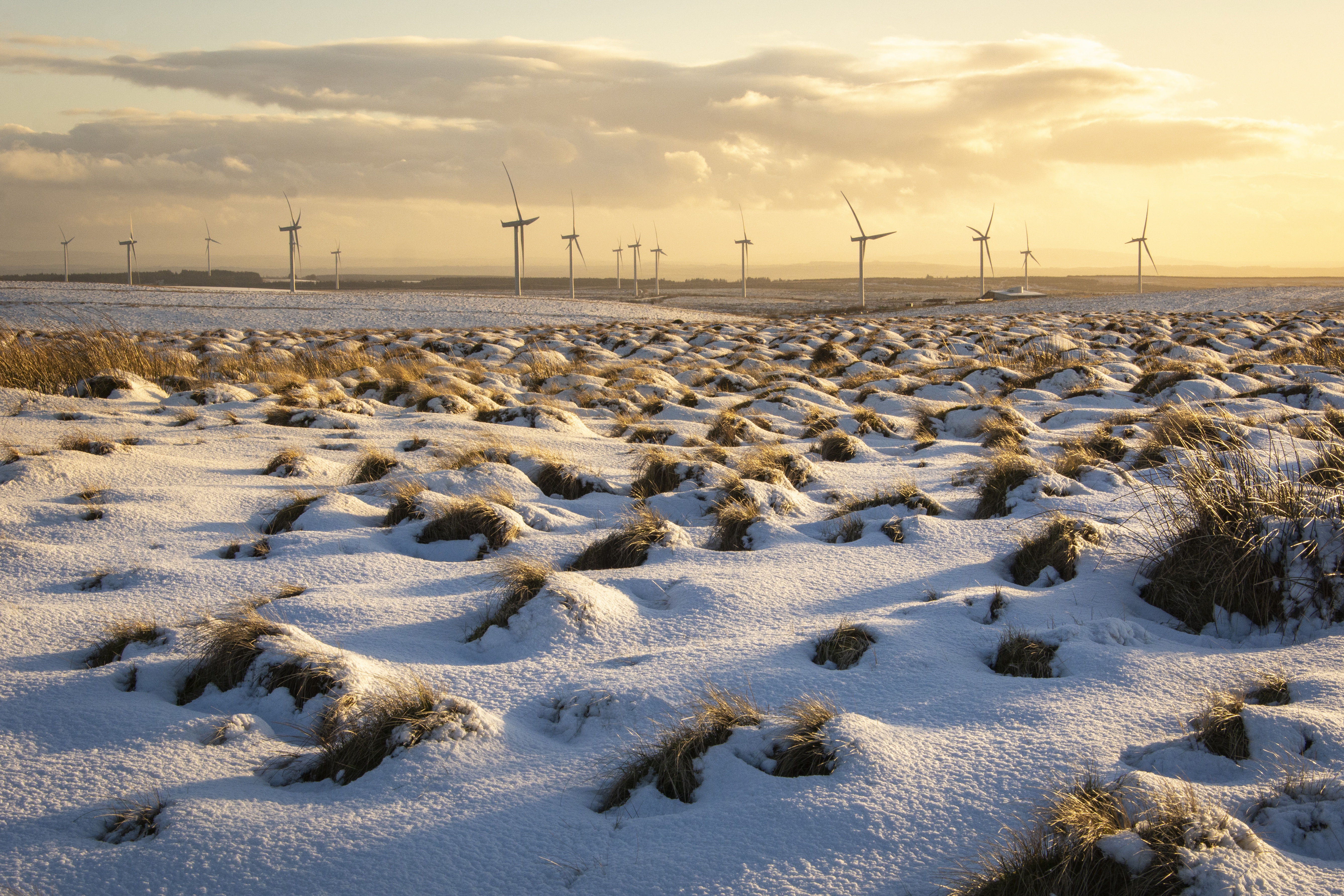 Обои снег, поле, ветряки, snow, field, windmills разрешение 5351x3567 Загрузить