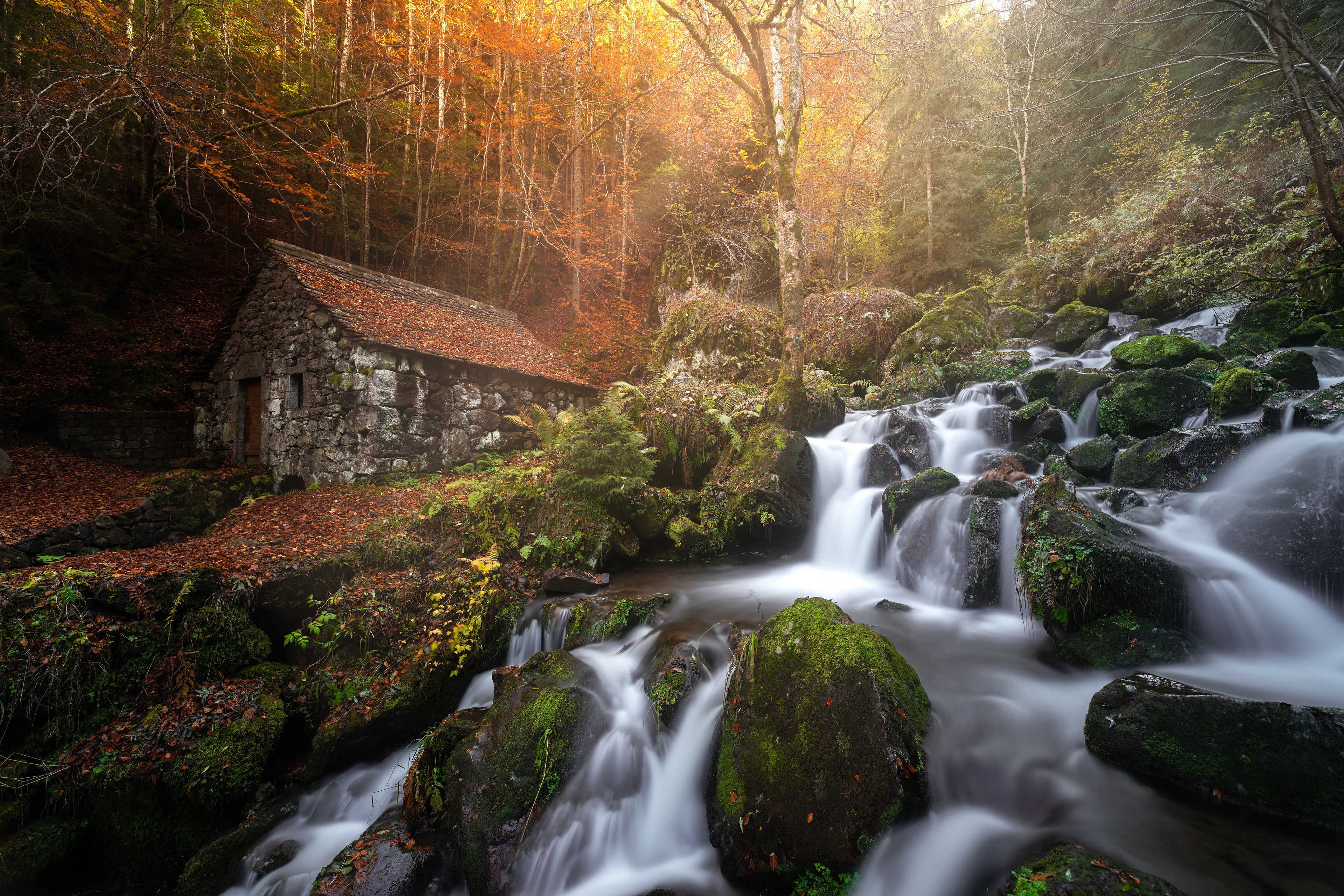 Обои река, лес, водопад, осень, дом, франция, водяная мельница, каскад, river, forest, waterfall, autumn, house, france, water mill, cascade разрешение 3840x2560 Загрузить