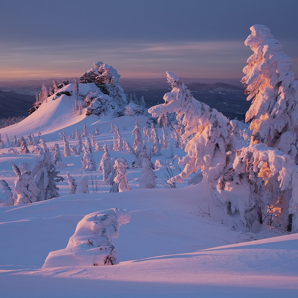 Обои снег, природа, лес, закат, зима, snow, nature, forest, sunset, winter разрешение 1920x1200 Загрузить