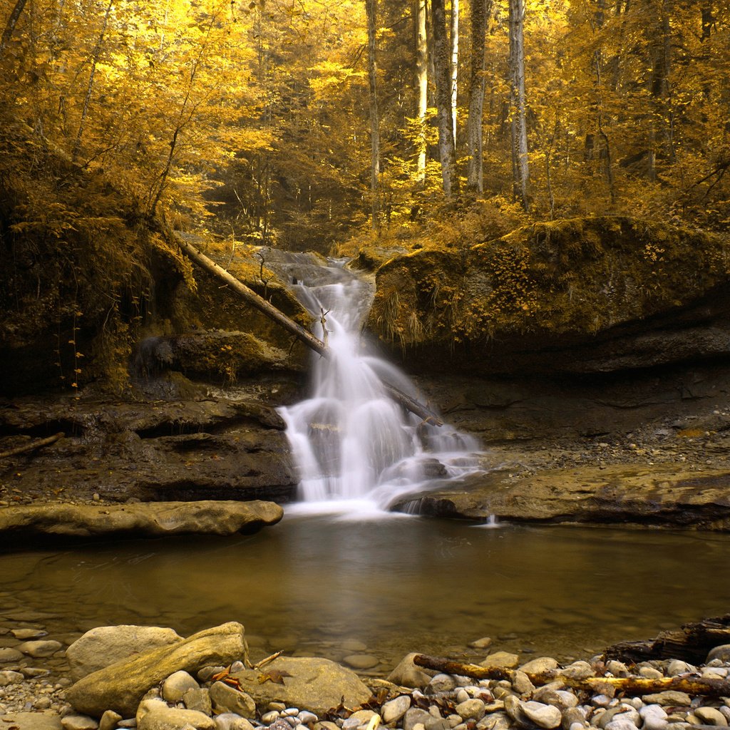 Обои озеро, скалы, лес, водопад, осень, швейцария, поток, золото, lake, rocks, forest, waterfall, autumn, switzerland, stream, gold разрешение 2560x1600 Загрузить