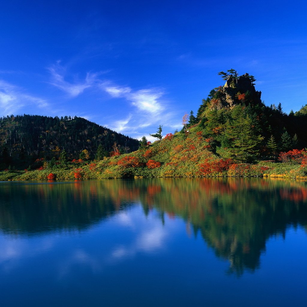 Обои вода, озеро, лес, отражение, япония, water, lake, forest, reflection, japan разрешение 1920x1200 Загрузить