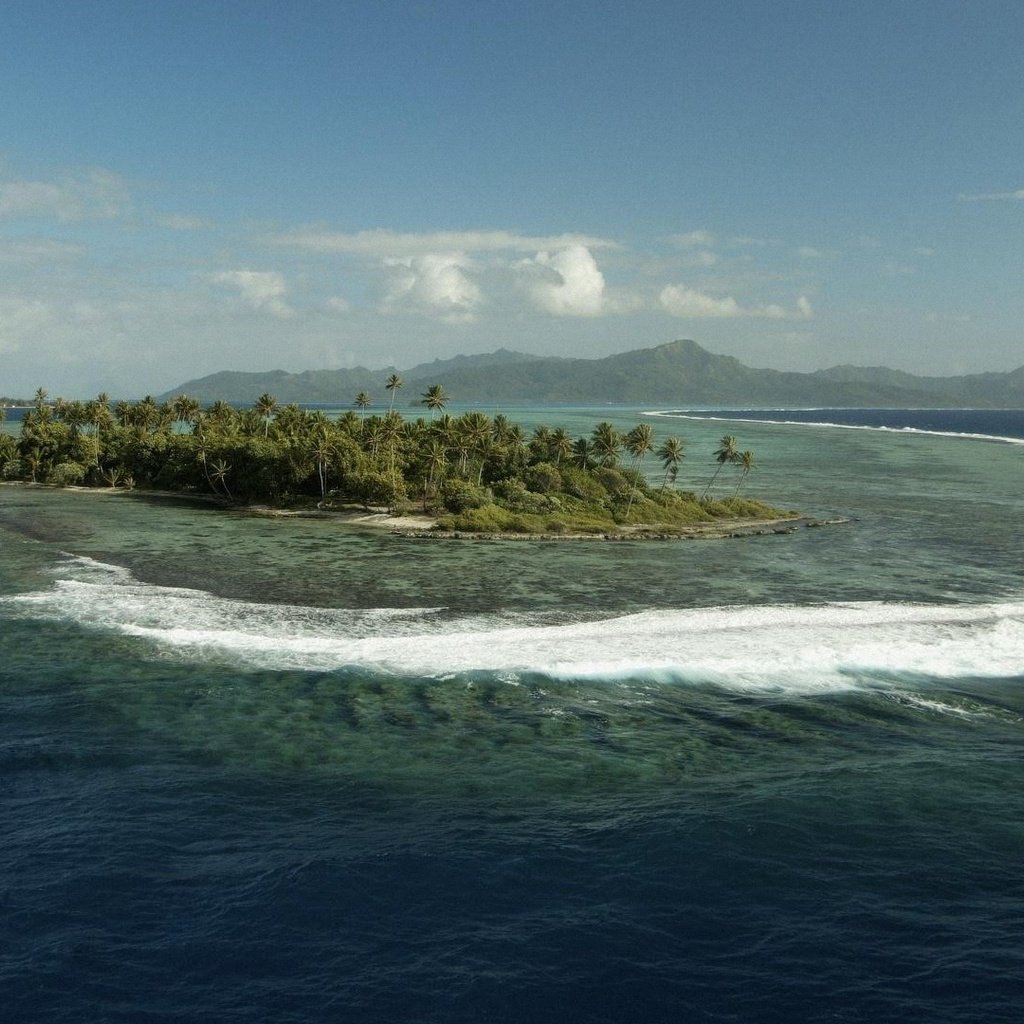 Обои море, пальмы, океан, остров, sea, palm trees, the ocean, island разрешение 1920x1080 Загрузить