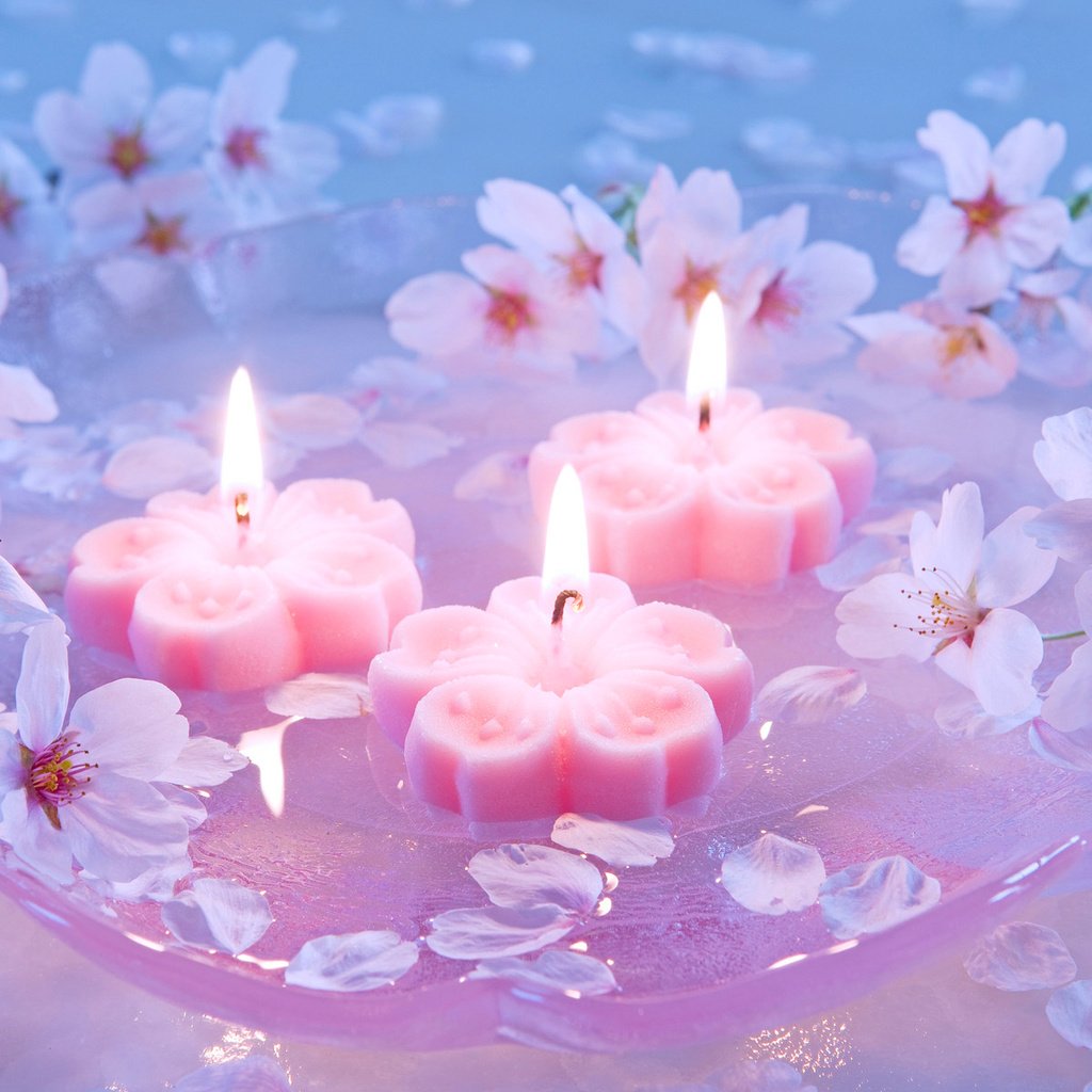 Обои свечи, сакура, японская вишня, candles, sakura, japanese cherry разрешение 1920x1200 Загрузить