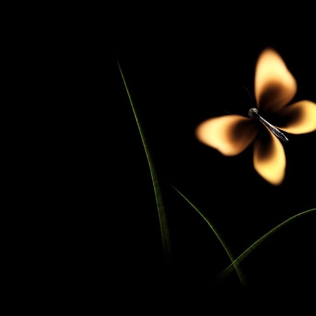 Обои бабочка, огонь, минимализм, черный фон, спичка, butterfly, fire, minimalism, black background, match разрешение 1920x1080 Загрузить