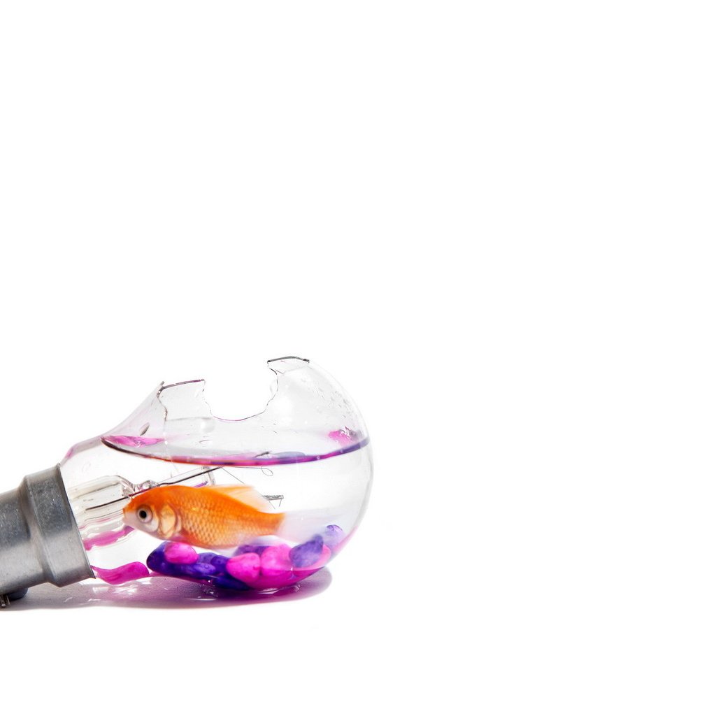 Обои лампа, минимализм, рыбка, lamp, minimalism, fish разрешение 1920x1200 Загрузить
