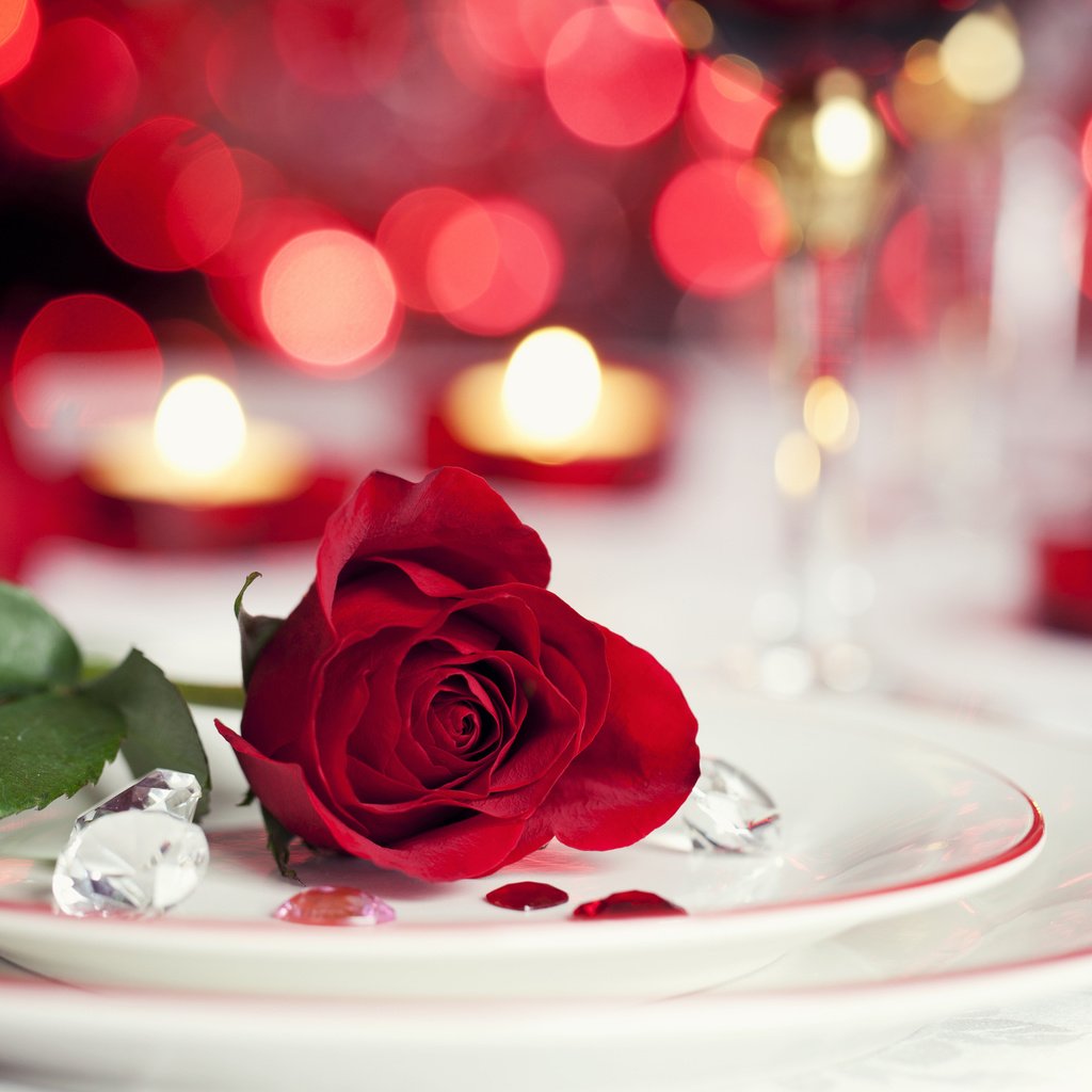 Обои цветы, свечи, розы, красный, flowers, candles, roses, red разрешение 2560x1600 Загрузить