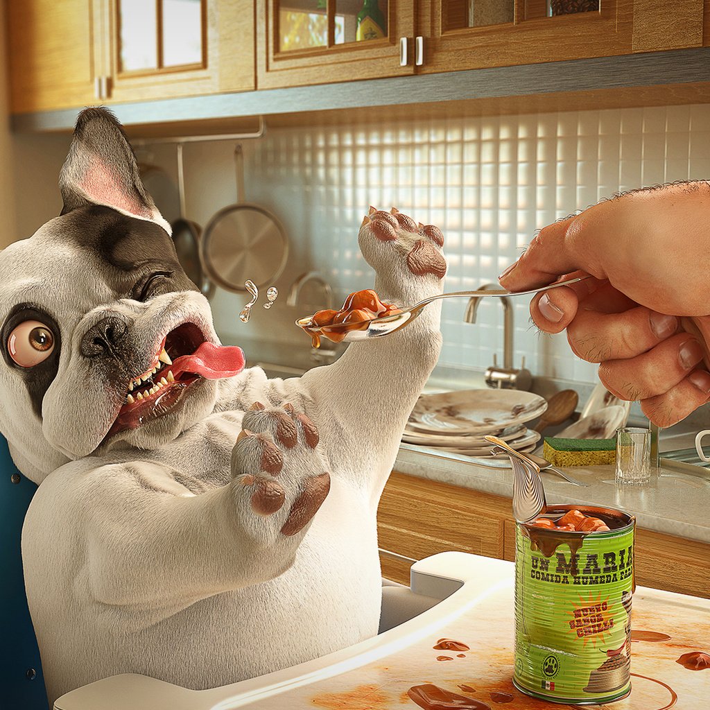 Обои лапы, собака, язык, обед, корм, хозяин, paws, dog, language, lunch, food, the owner разрешение 1920x1080 Загрузить