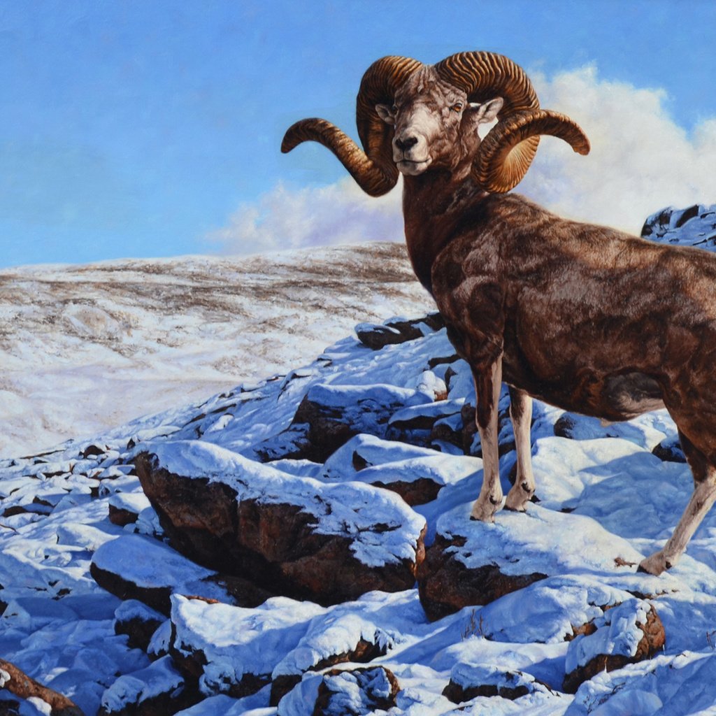 Обои горы, рога, козел, mountains, horns, goat разрешение 2048x1202 Загрузить