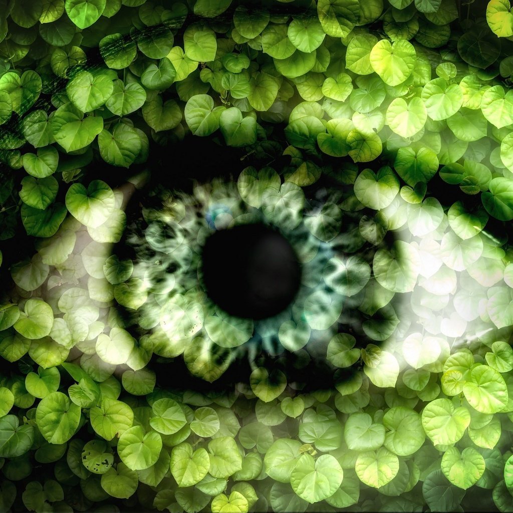 Обои зелень, листья, стиль, взгляд, фэнтези, глаз, зрачок, greens, leaves, style, look, fantasy, eyes, the pupil разрешение 2048x1367 Загрузить