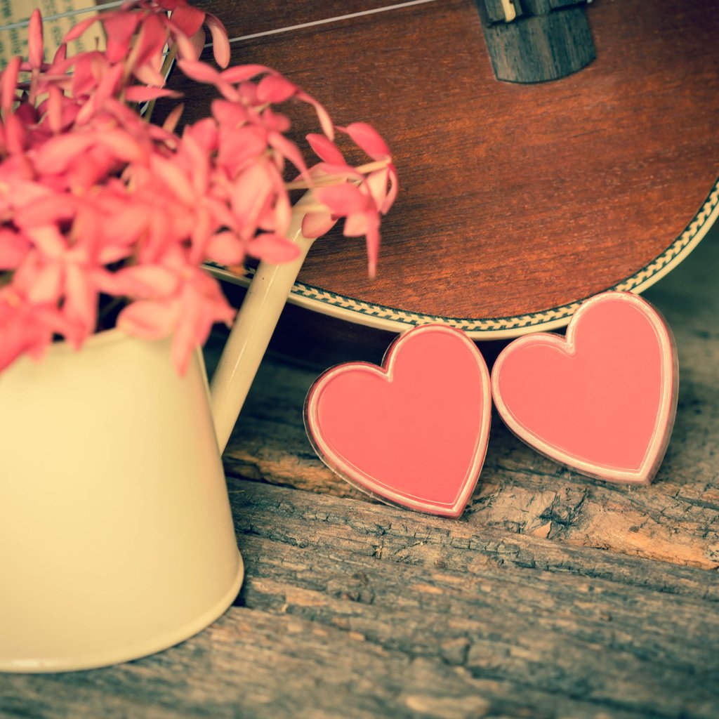 Обои цветы, гитара, сердце, любовь, романтика, розовые, flowers, guitar, heart, love, romance, pink разрешение 4626x3456 Загрузить