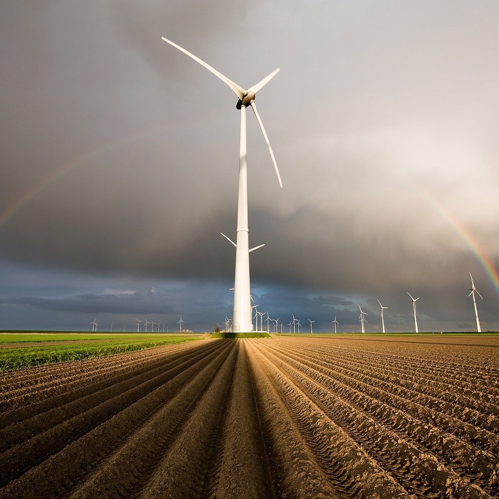 Обои поля, радуга, нидерланды, голландия, ветряные генераторы, field, rainbow, netherlands, holland, wind generators разрешение 2048x1367 Загрузить