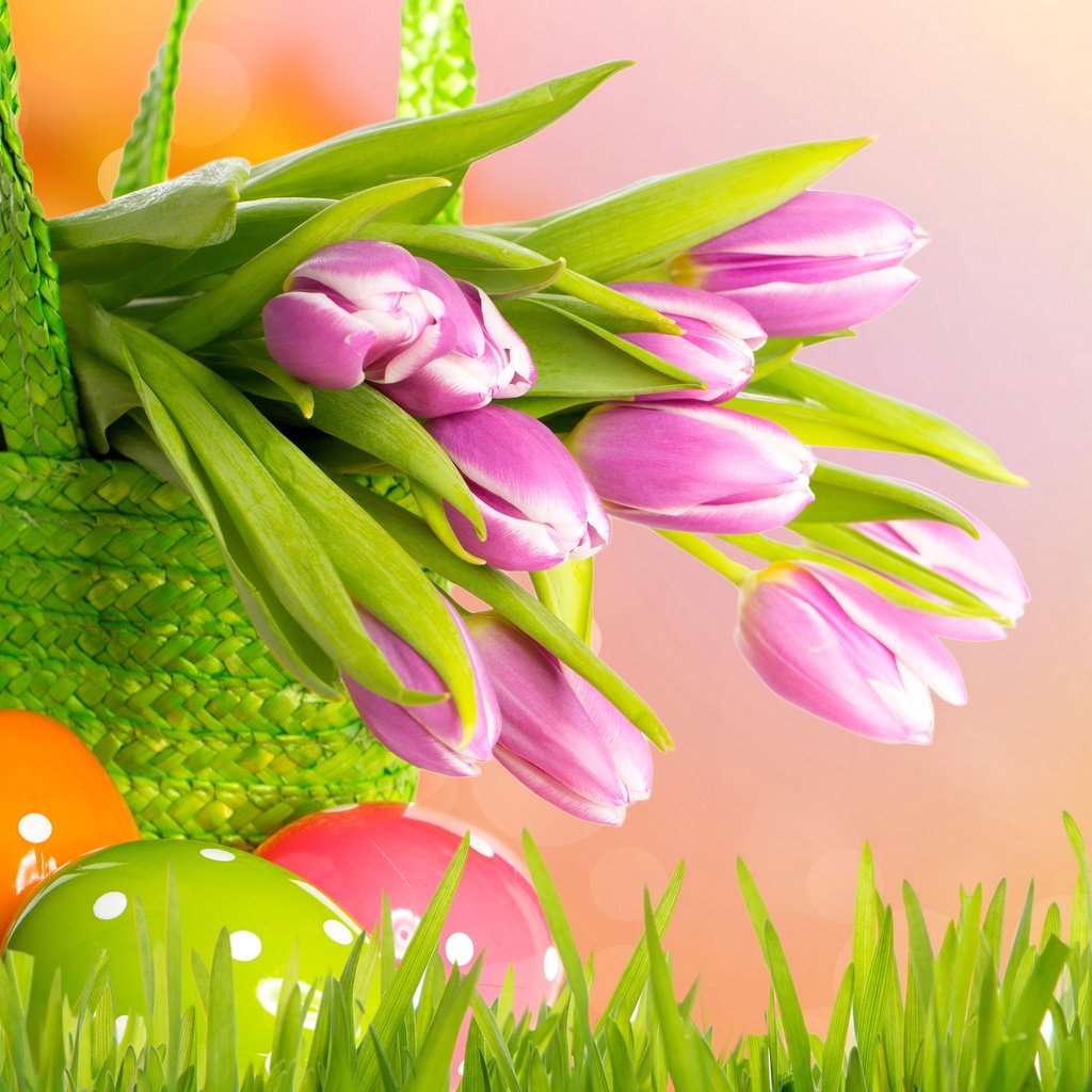 Обои цветы, весна, корзина, тюльпаны, пасха, яйца, flowers, spring, basket, tulips, easter, eggs разрешение 4200x3152 Загрузить
