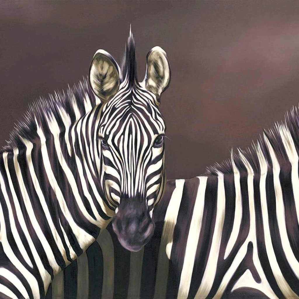 Обои зебра, зебры, zebra разрешение 2052x1080 Загрузить