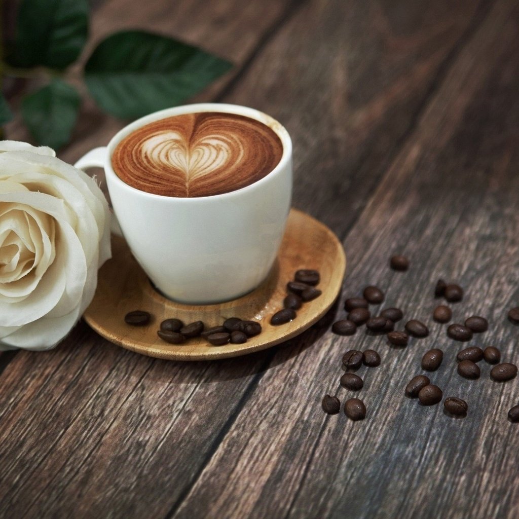 Обои цветок, роза, кофе, чашка, кофейные зерна, деревянная поверхность, flower, rose, coffee, cup, coffee beans, wooden surface разрешение 1920x1204 Загрузить