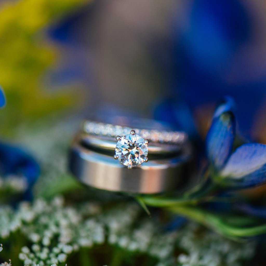 Обои цветы, камень, кольцо, обручальное, синие лепестки, flowers, stone, ring, wedding, blue petals разрешение 6016x4016 Загрузить