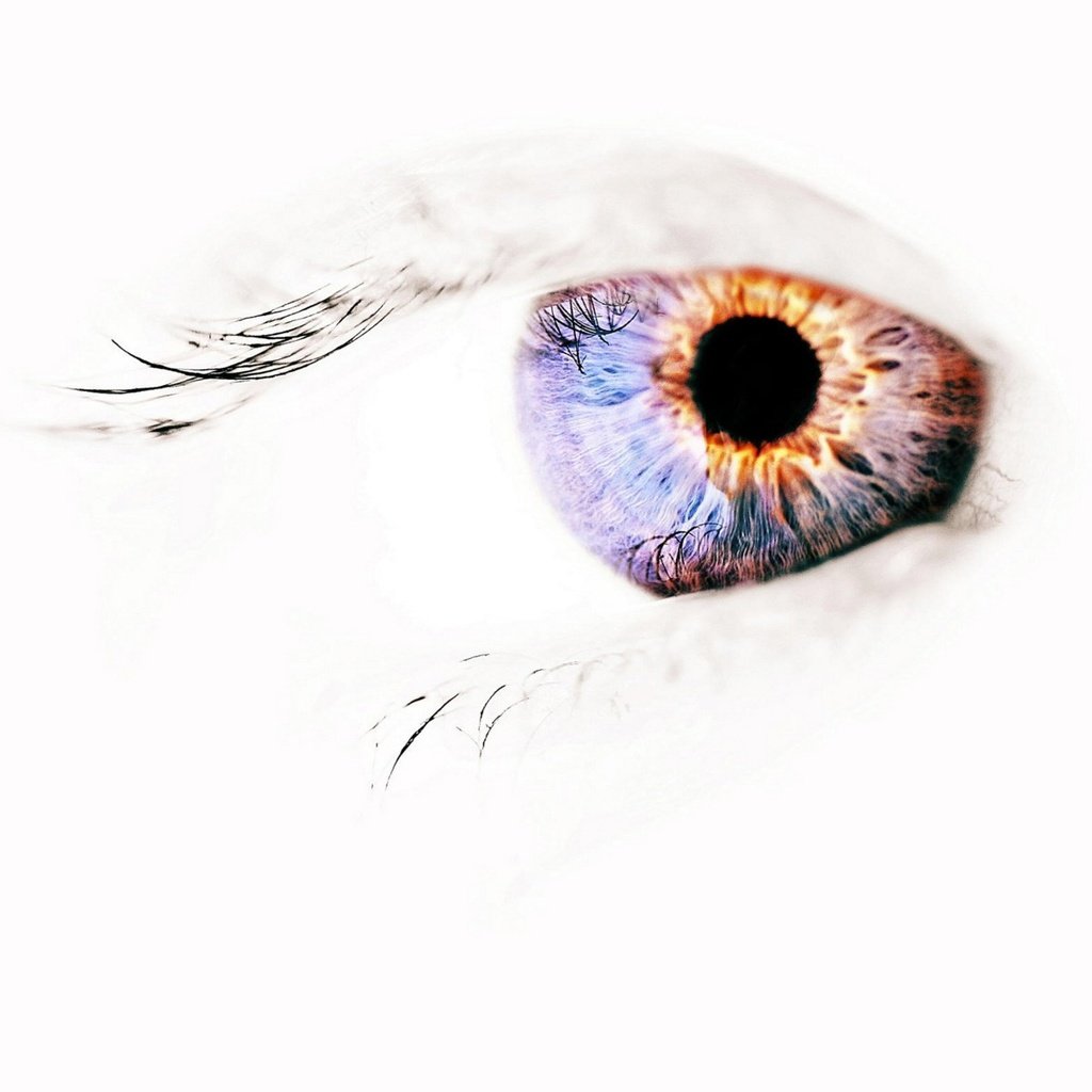 Обои глаза, фон, белый, eyes, background, white разрешение 1920x1200 Загрузить