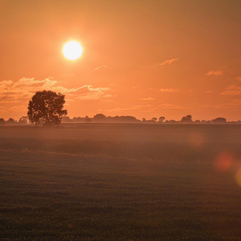 Обои небо, облака, солнце, утро, туман, поле, рассвет, the sky, clouds, the sun, morning, fog, field, dawn разрешение 1920x1080 Загрузить