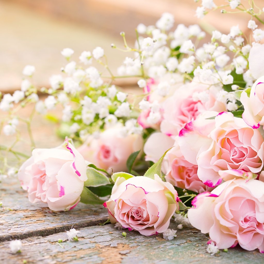 Обои цветы, розы, букет, романтик,  цветы, роз, пинк, flowers, roses, bouquet, romantic, pink разрешение 5472x3648 Загрузить