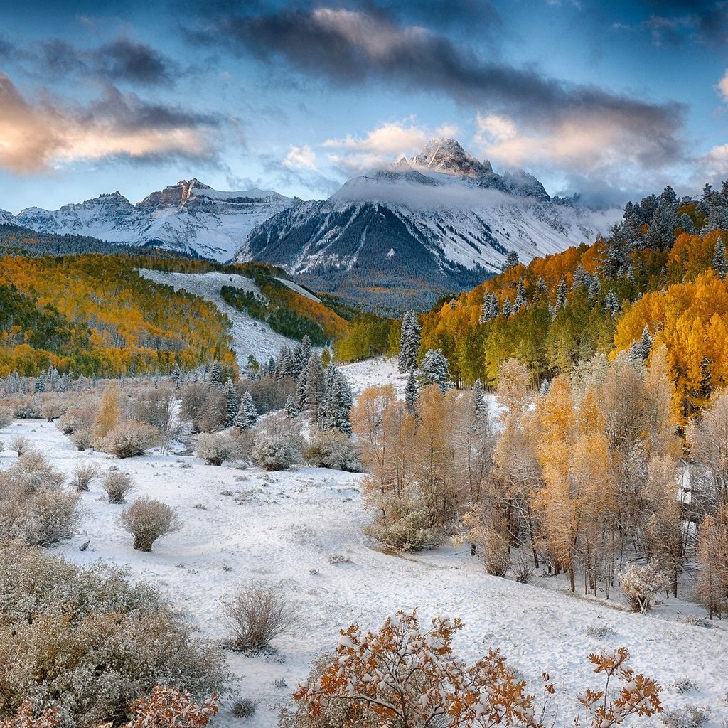 Обои деревья, горы, снег, лес, осень, долина, trees, mountains, snow, forest, autumn, valley разрешение 1920x1280 Загрузить