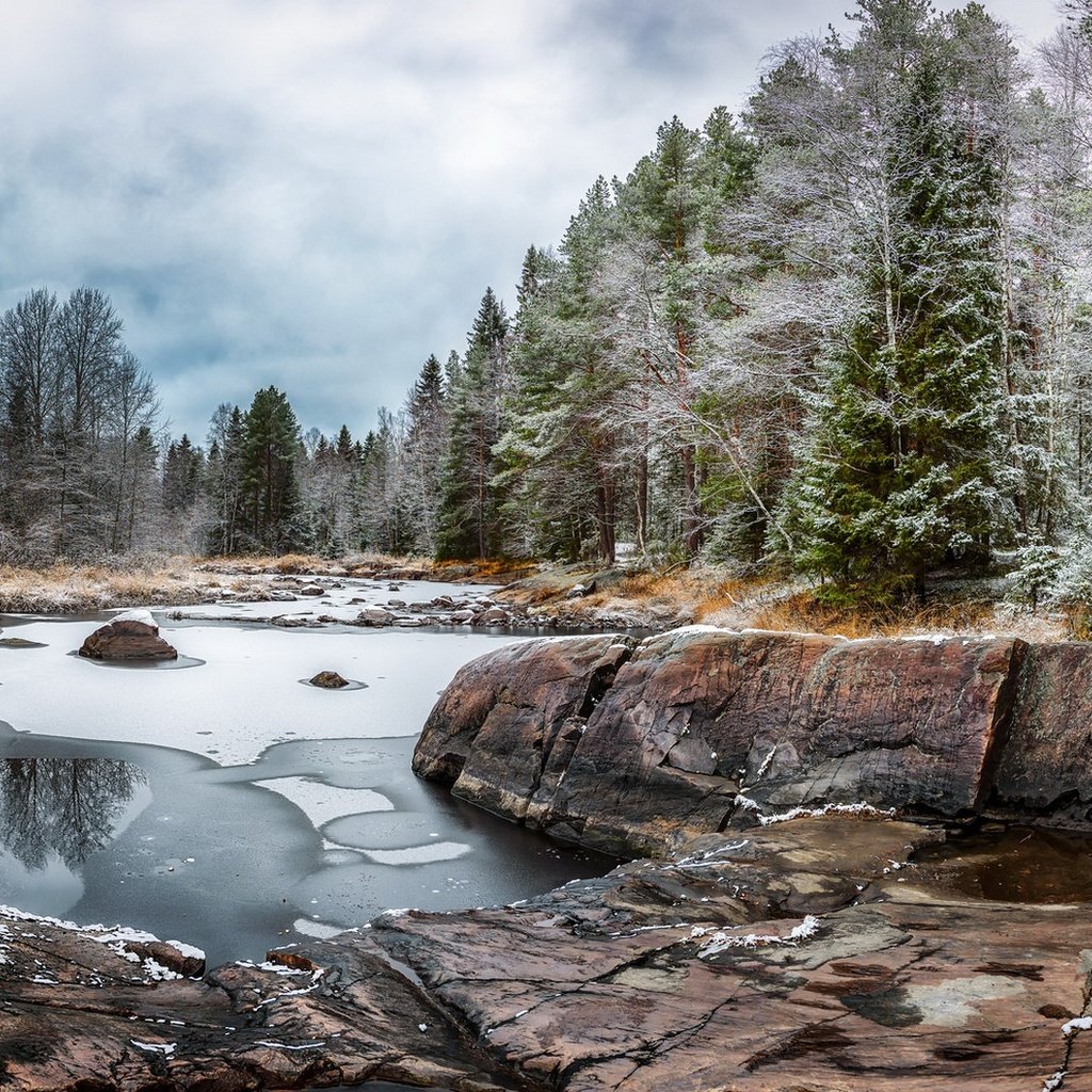 Обои деревья, река, снег, лес, осень, лёд, ели, trees, river, snow, forest, autumn, ice, ate разрешение 1920x1080 Загрузить