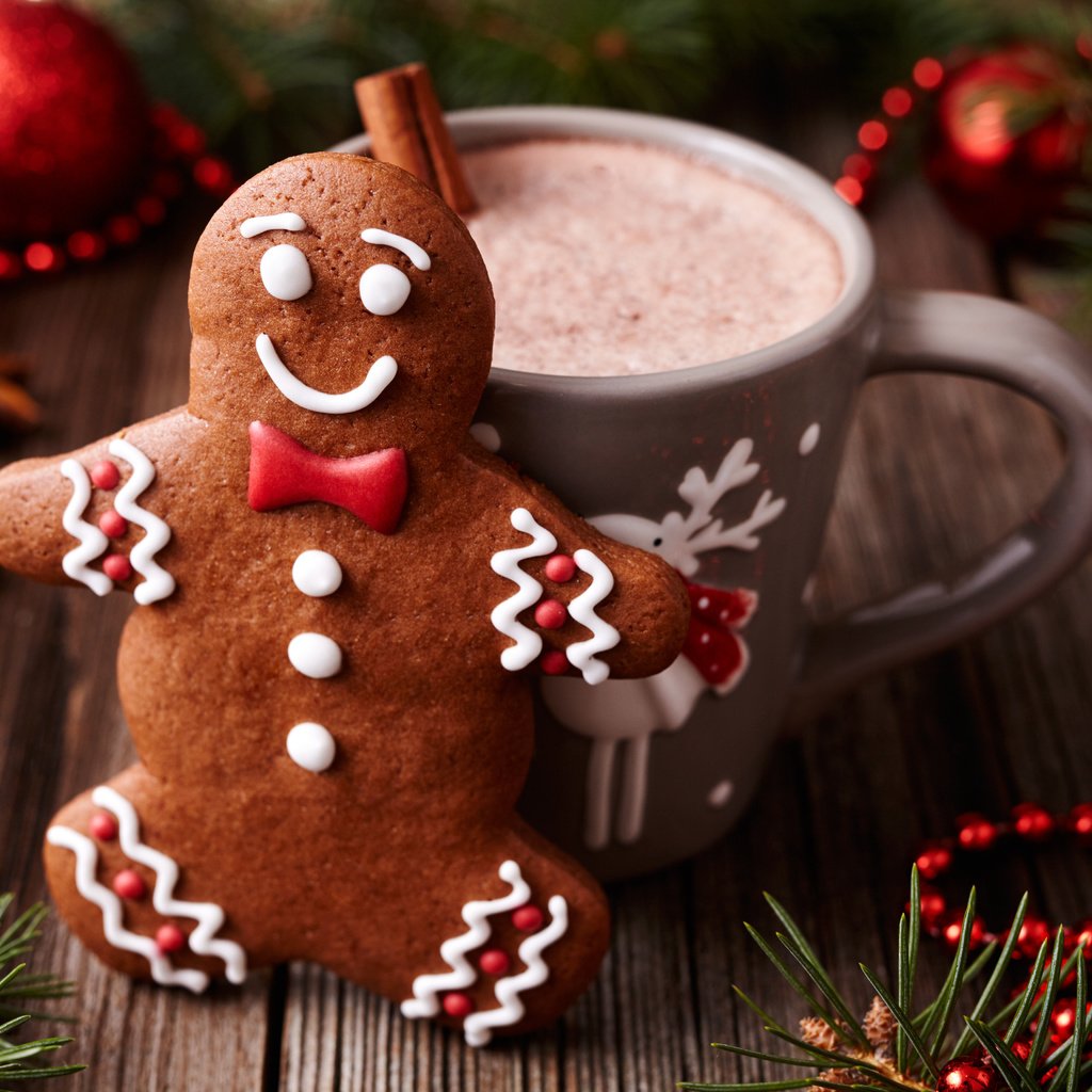 Обои новый год, горячий шоколад, украшения, пряники, корица, пряничный человечек, праздники, чашка, рождество, печенье, какао, new year, hot chocolate, decoration, gingerbread, cinnamon, the gingerbread man, holidays, cup, christmas, cookies, cocoa разрешение 5616x3744 Загрузить