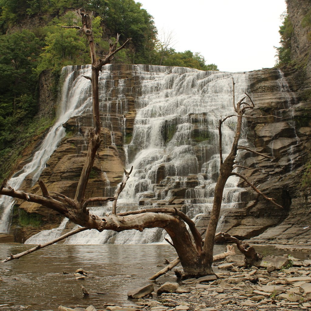 Обои вода, пейзаж, водопад, каскад, штат нью-йорк, мертвое дерево, water, landscape, waterfall, cascade, the state of new york, dead tree разрешение 5184x3456 Загрузить