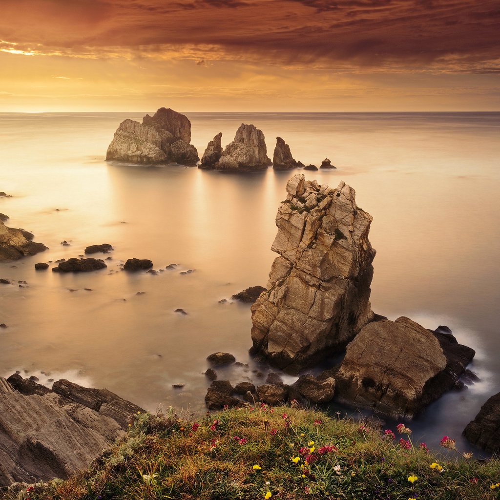 Обои цветы, скалы, камни, берег, море, горизонт, flowers, rocks, stones, shore, sea, horizon разрешение 2560x1600 Загрузить