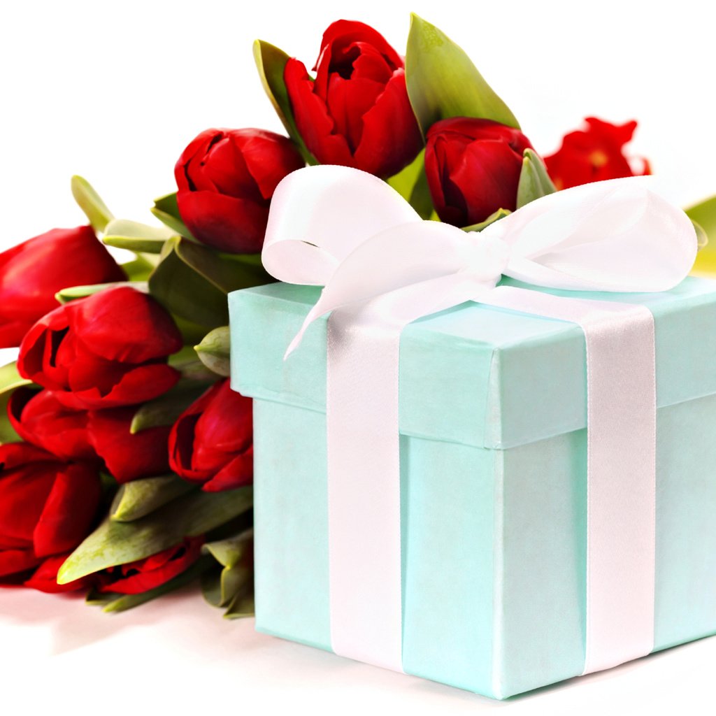 Обои красные, букет, тюльпаны, лента, подарок, праздник, natalia klenova, red, bouquet, tulips, tape, gift, holiday разрешение 2560x1920 Загрузить