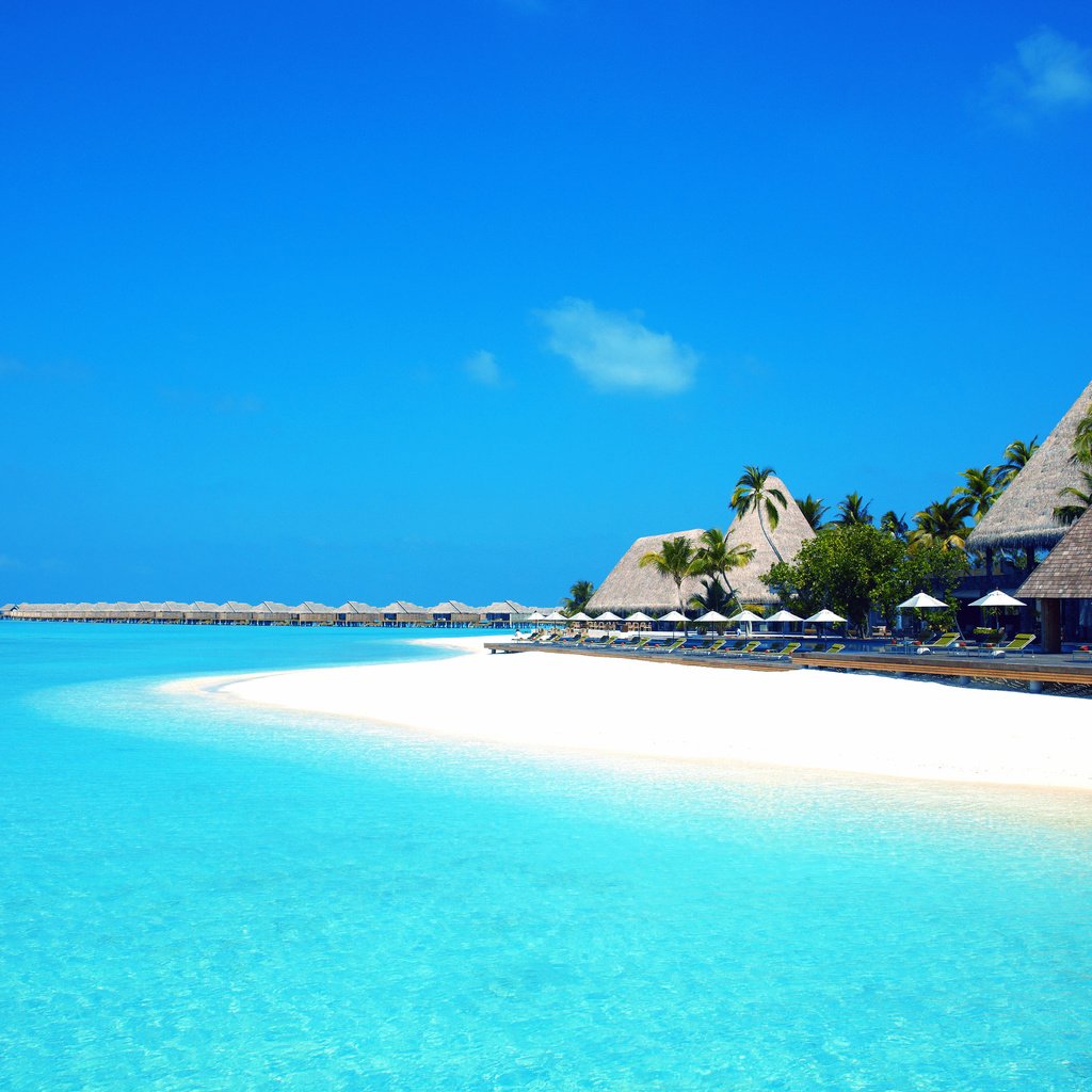 Обои небо, море, пляж, пальмы, остров, курорт, мальдивы, виллы, the sky, sea, beach, palm trees, island, resort, the maldives, villa разрешение 3840x2560 Загрузить