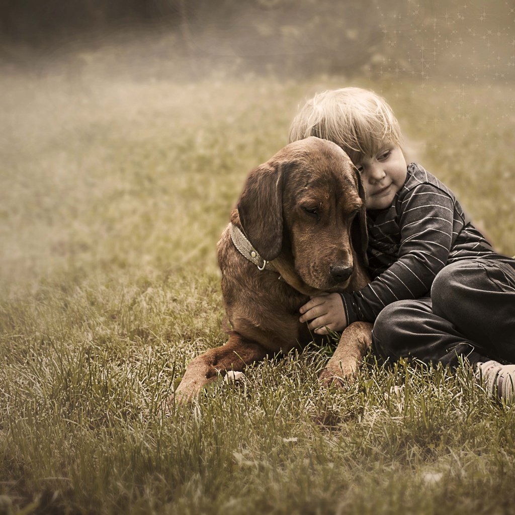 Обои трава, собака, дети, ребенок, мальчик, друзья, grass, dog, children, child, boy, friends разрешение 5412x3840 Загрузить