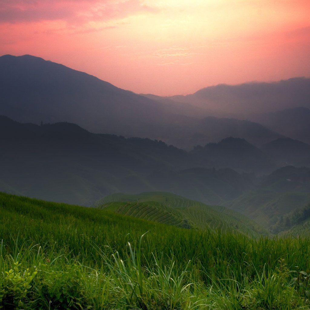 Обои трава, горы, закат, пейзаж, туман, поле, grass, mountains, sunset, landscape, fog, field разрешение 3000x2000 Загрузить