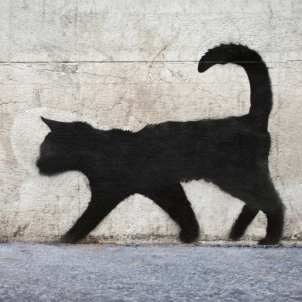Обои текстура, стена, граффити, поверхность, кирпичная, черный кот, texture, wall, graffiti, surface, brick, black cat разрешение 5616x3744 Загрузить