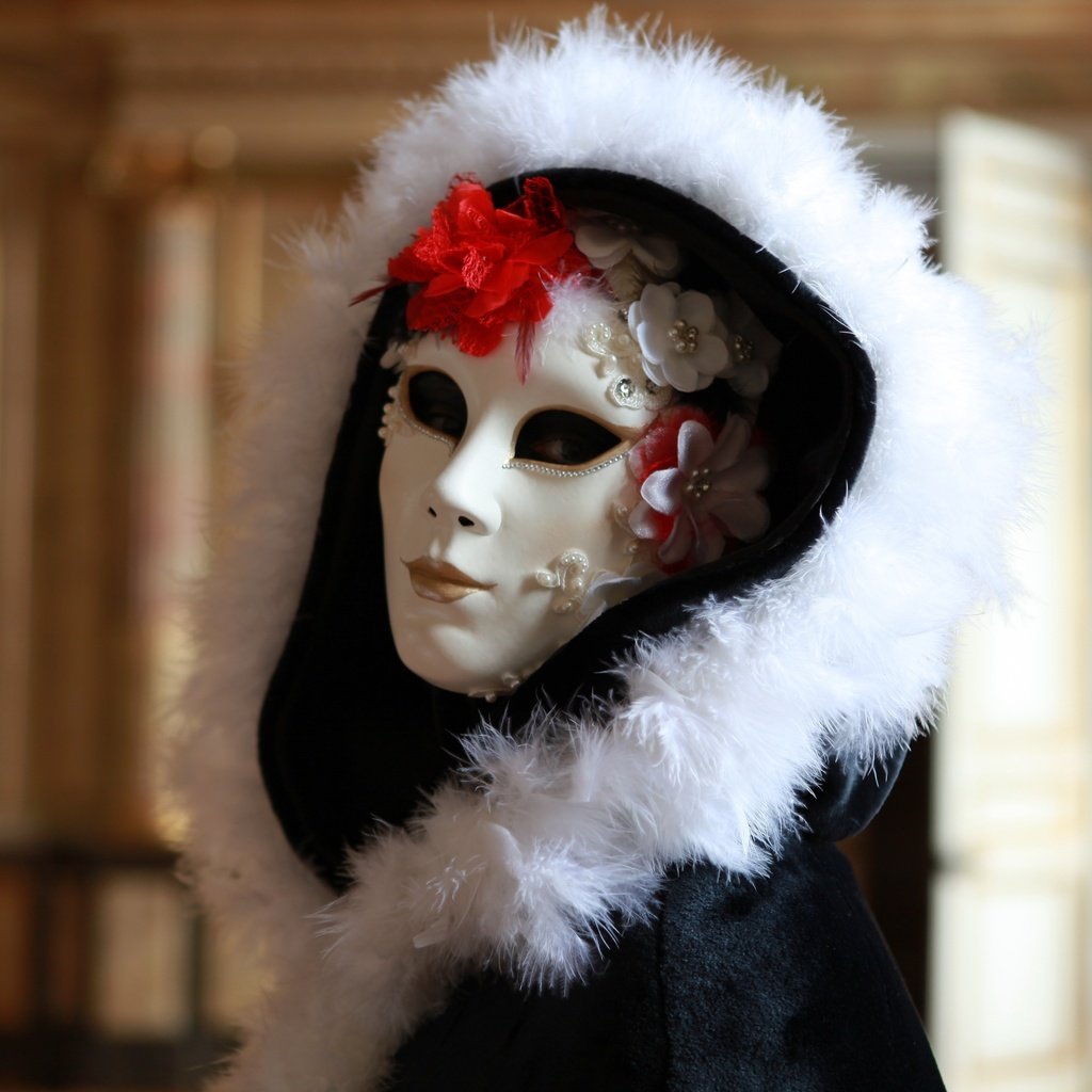 Обои маска, цветок, костюм, капюшон, карнавал, mask, flower, costume, hood, carnival разрешение 3000x2000 Загрузить
