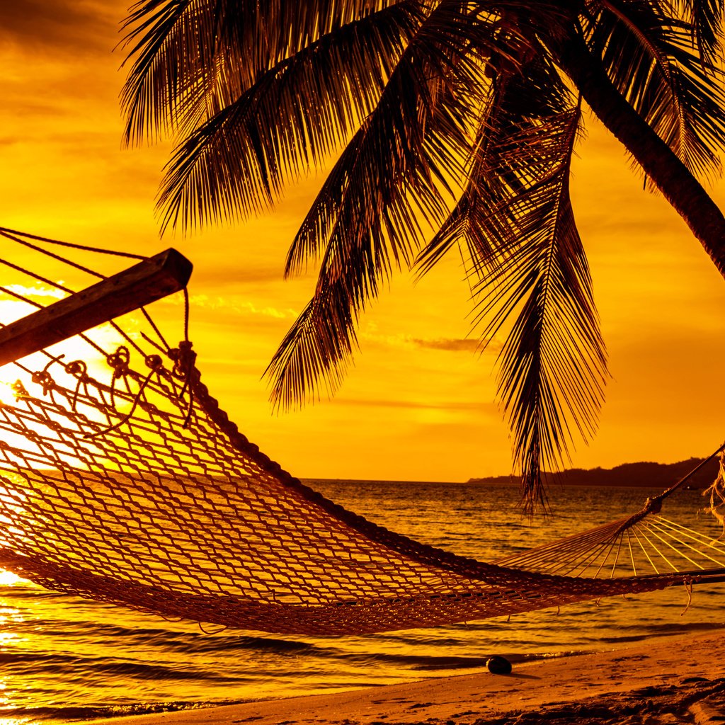 Обои закат, море, пляж, гамак, тропики, sunset, sea, beach, hammock, tropics разрешение 5616x3744 Загрузить