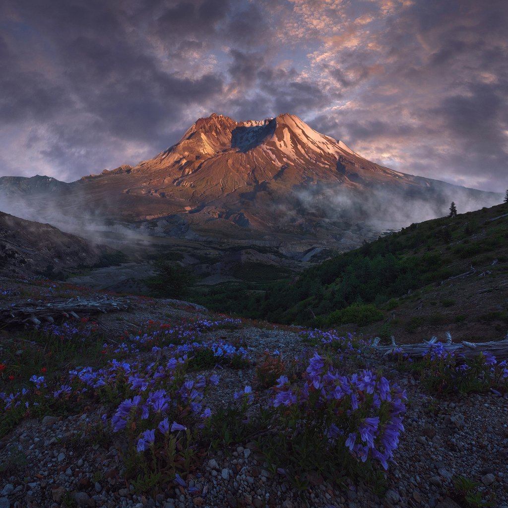 Обои небо, цветы, облака, горы, природа, пейзаж, вулкан, victor carreiro, the sky, flowers, clouds, mountains, nature, landscape, the volcano разрешение 2000x1416 Загрузить