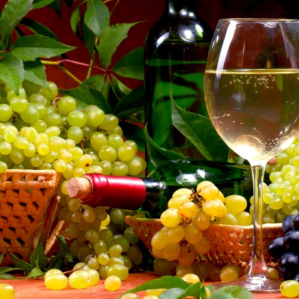 Обои виноград, вино, бутылка, бокалы, алкоголь, натюрморт, grapes, wine, bottle, glasses, alcohol, still life разрешение 1920x1200 Загрузить