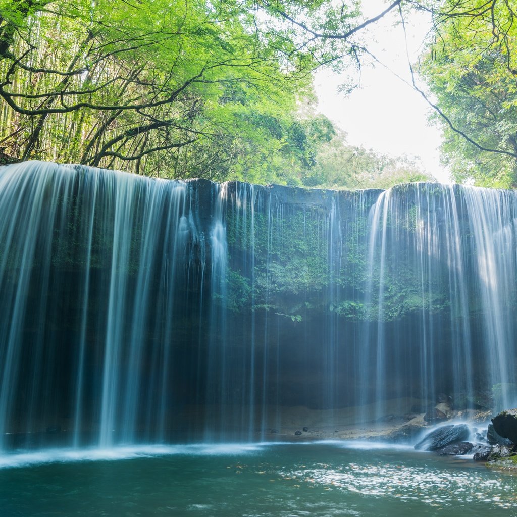 Обои деревья, вода, камни, лес, водопад, trees, water, stones, forest, waterfall разрешение 7360x4912 Загрузить