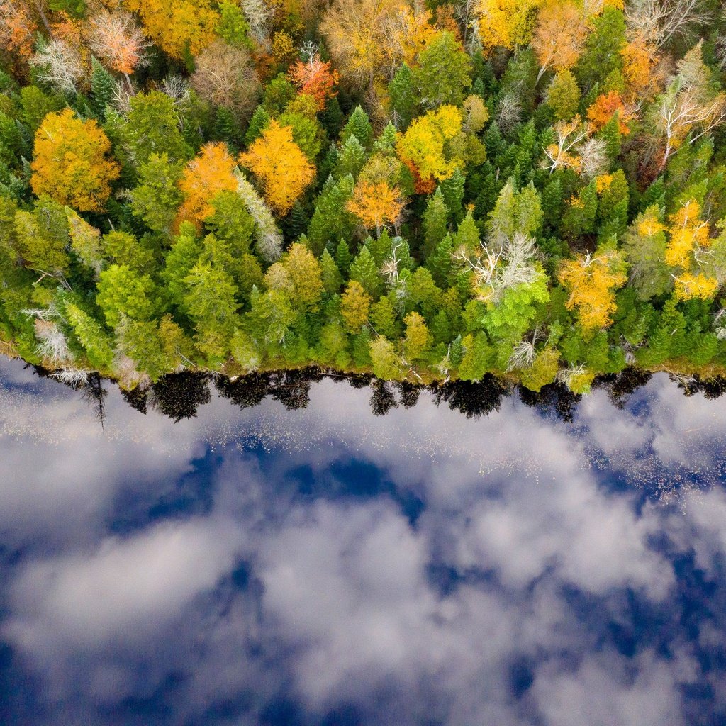 Обои река, лес, отражение, осень, river, forest, reflection, autumn разрешение 3000x1999 Загрузить