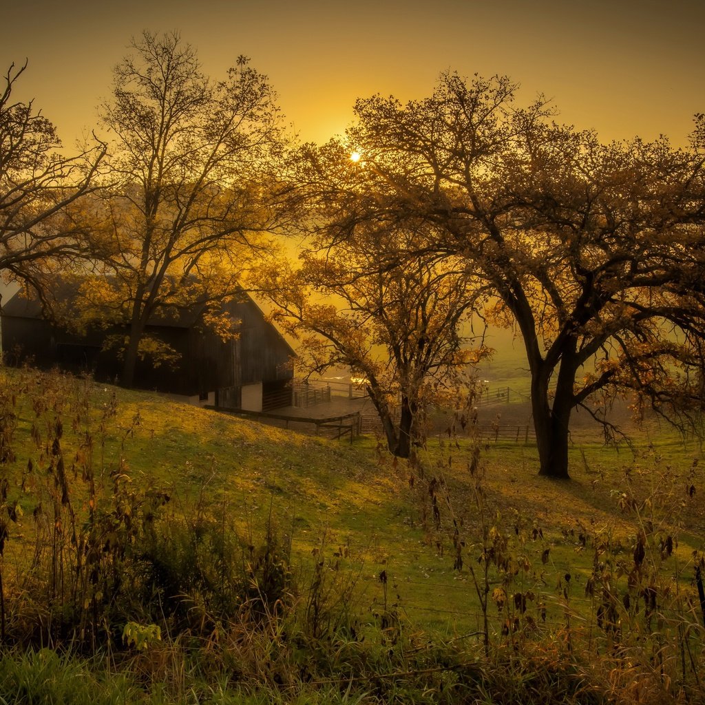 Обои закат, туман, осень, sunset, fog, autumn разрешение 3840x2160 Загрузить