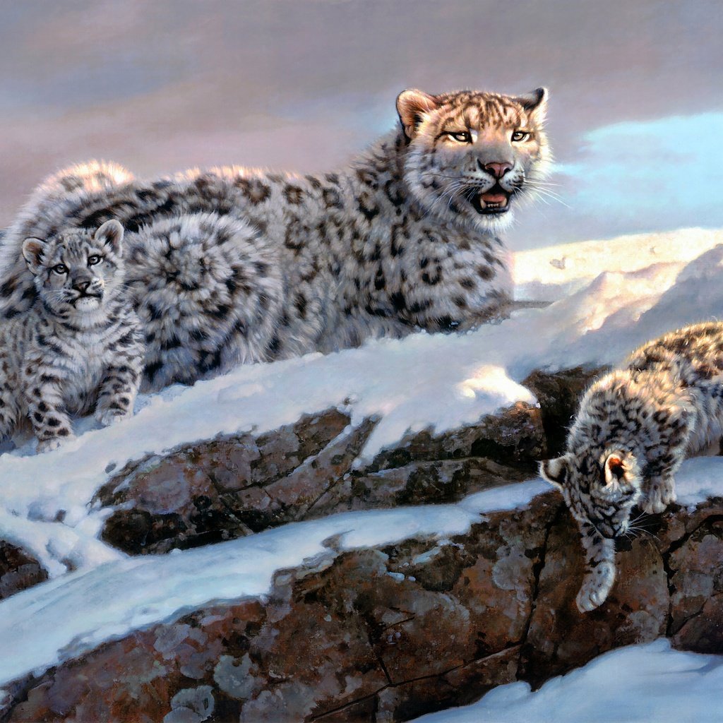 Обои зима, снежные барсы, nancy glazier, winter, snow leopards разрешение 4366x2178 Загрузить