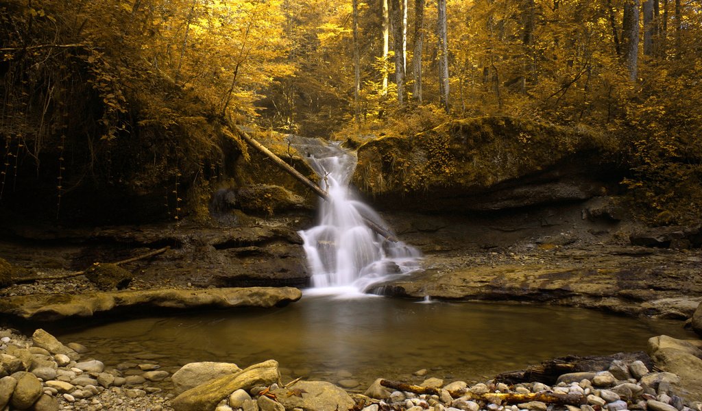 Обои озеро, скалы, лес, водопад, осень, швейцария, поток, золото, lake, rocks, forest, waterfall, autumn, switzerland, stream, gold разрешение 2560x1600 Загрузить