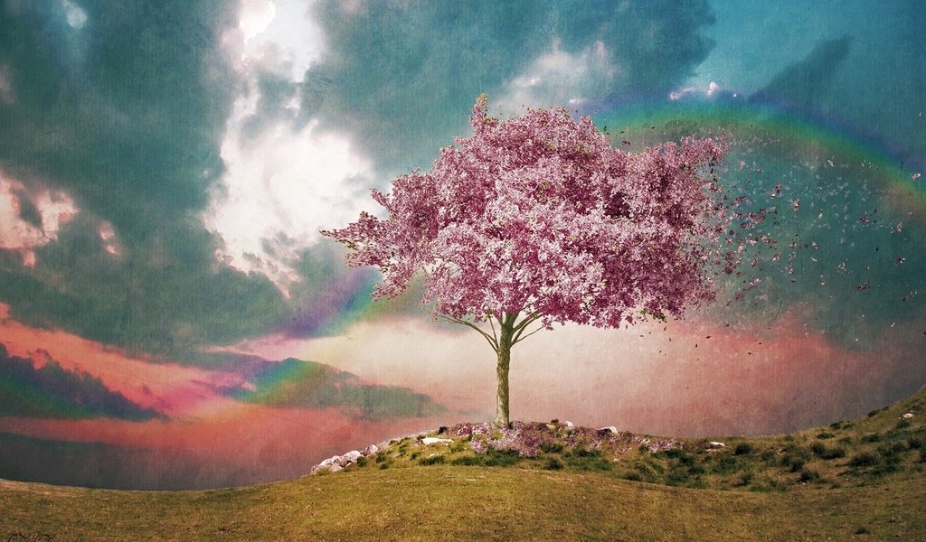 Обои небо, дерево, цветение, радуга, ветер, акварель, розовое дерево, фактура, the sky, tree, flowering, rainbow, the wind, watercolor, pink tree, texture разрешение 1920x1200 Загрузить