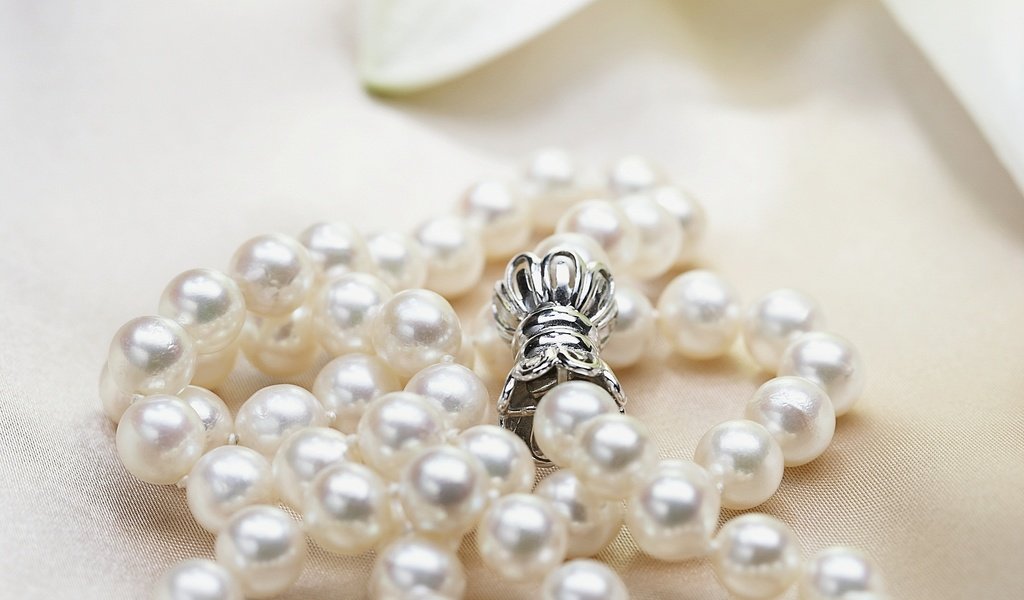 Обои ожерелье, жемчуг, колье, necklace, pearl разрешение 1920x1200 Загрузить