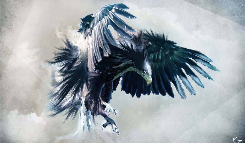 Обои арт, полет, взгляд, крылья, орел, птица, клюв, перья, art, flight, look, wings, eagle, bird, beak, feathers разрешение 2560x1600 Загрузить