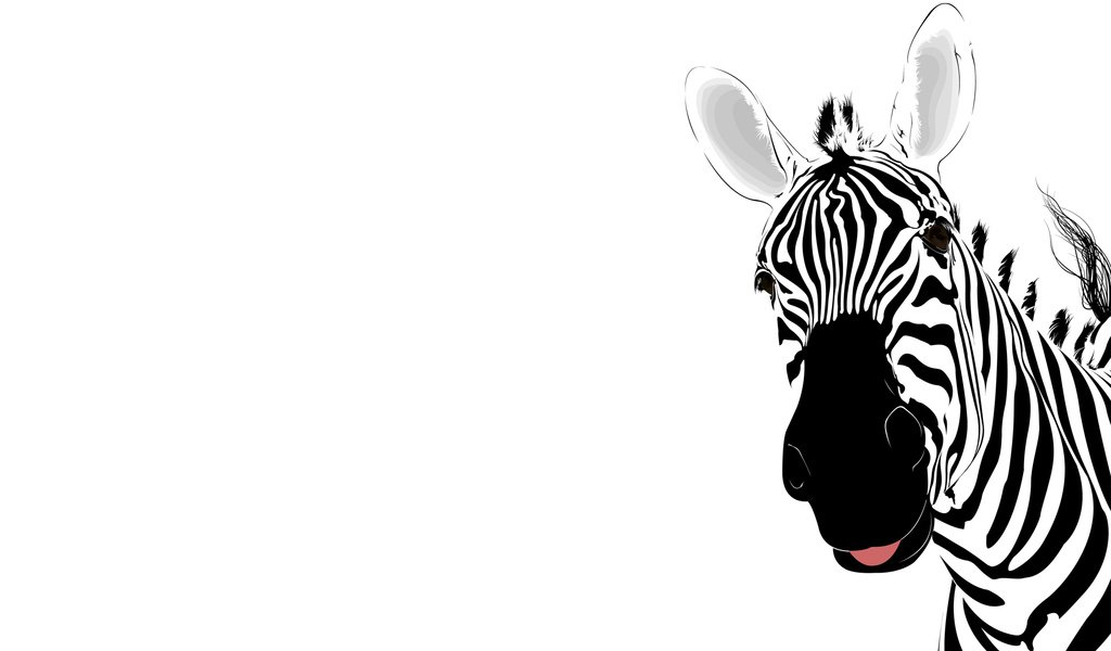 Обои абстракция, зебра, полоски, abstraction, zebra, strips разрешение 1920x1200 Загрузить