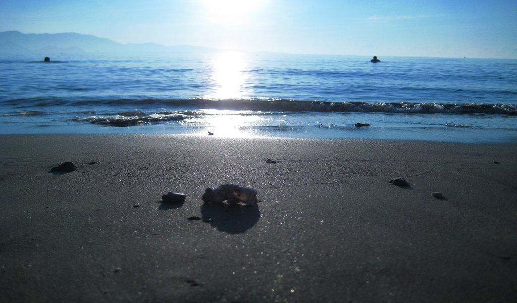 Обои природа, море, песок, пляж, nature, sea, sand, beach разрешение 2560x1600 Загрузить