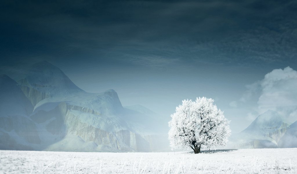 Обои горы, снег, дерево, зима, mountains, snow, tree, winter разрешение 1920x1080 Загрузить